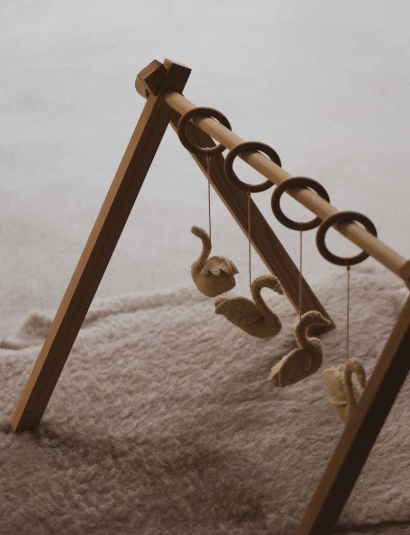 Activity Arch with Swan Toys