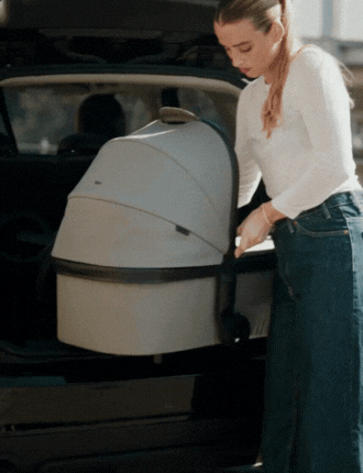 Echo Carry Cot Feature 1