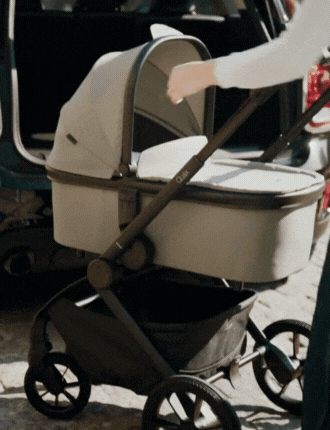 Echo Carry Cot Feature 2
